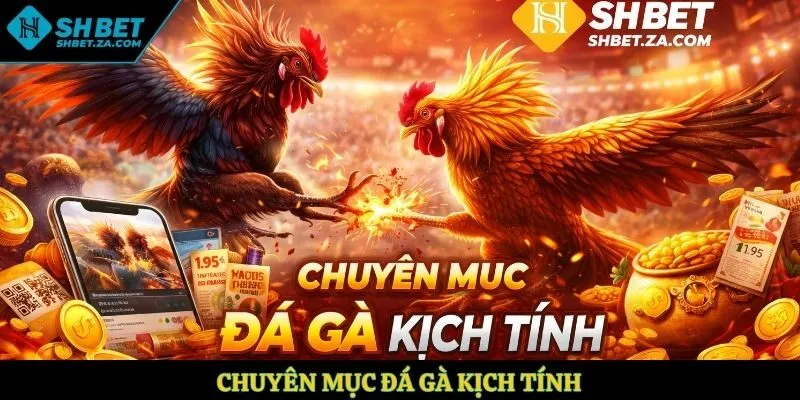 Chuyên mục đá gà kịch tính