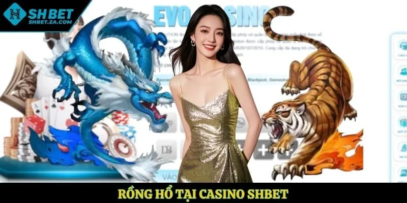 Rồng hổ tại casino SHBET